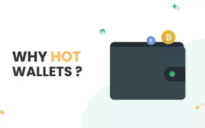 Why Hot Wallets and What Makes Them Vulnerable?